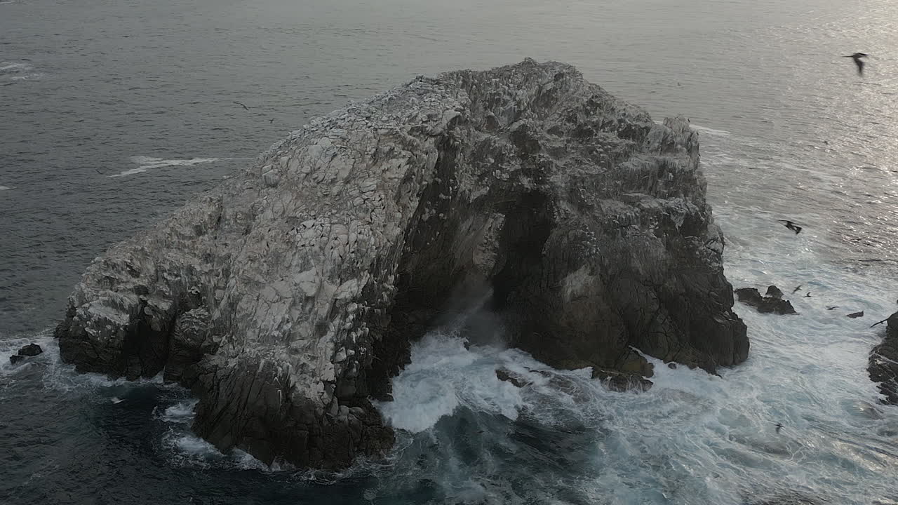 Sølvfarvet drone kredser omkring en koloni af fregatfugle på et klippeskær i havet.