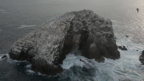 Silver-aerial-orbits-colony-of-frigatebirds-on-rocky-islet-in-ocean