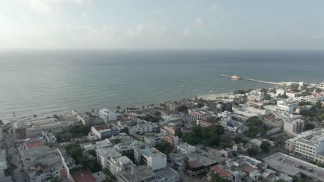 Sargassum-Algen-Am-Strand-Von-Playa-Del-Carmen-Quintana-Roo-Mexiko-30