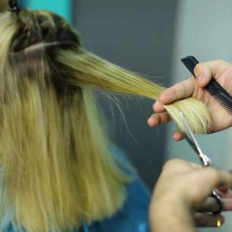 el estilista se muere el cabello.