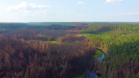 Autumn-colour-dense-forest,-river-creek-through-landscape-Toronto-Canada