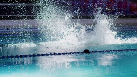 swimmer training in a swimming pool