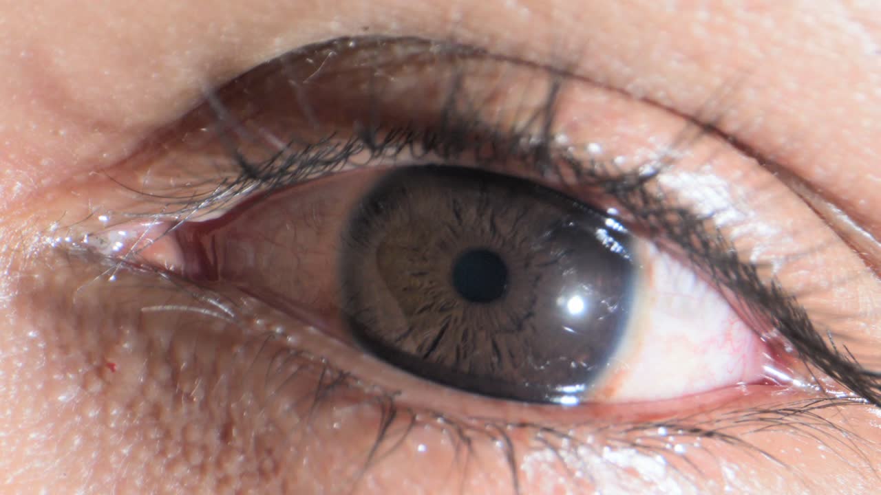 인간의 눈이 열리고 닫히는 극단적 인 근접 시각