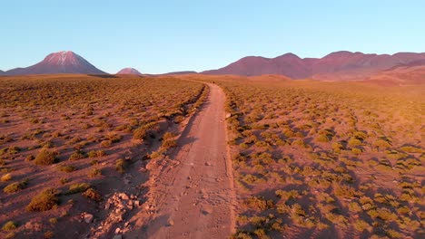 Aerial-cinematic-drone-shot-of-lonely-traveler-on-a-dirt-road-at-sunset-in-the-Atacama-Desert,-Chile,-South-America