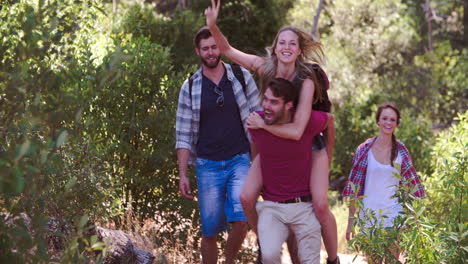 cinco amigos caminando por un sendero forestal hacia la cámara