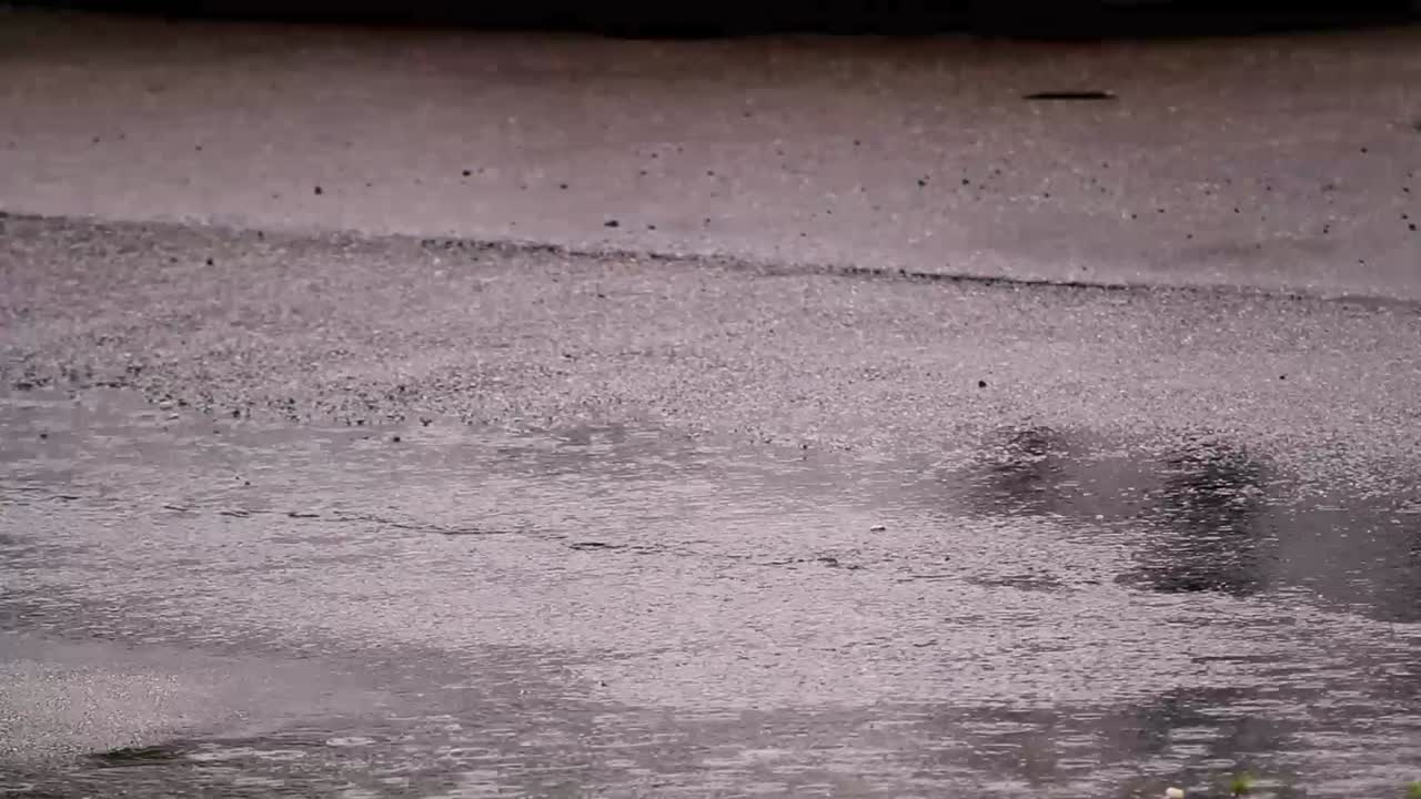 Car Tires Roll Down Wet Street While Raining Close Up