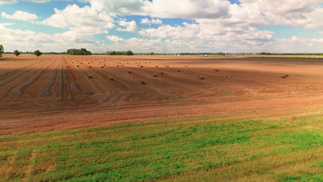 A wide aerial view of a harvested field with neatly arranged hay bales under a bright blue sky filled with fluffy clouds. Ideal for themes related to agriculture, harvest season, and rural landscapes.