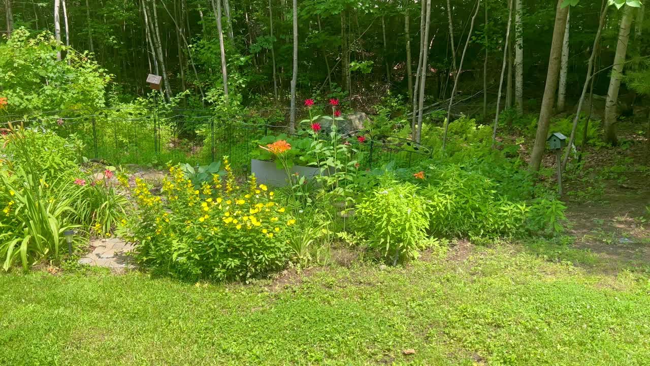 Flowers and log seating to relax on a Maine summer's day