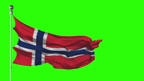 norway national flag waving on green screen. chroma key animation. norwegian politics illustration