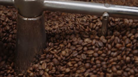 fresh coffee beans drying during coffee roasting