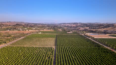 A-breathtaking-drone-view-of-a-lush-orchard