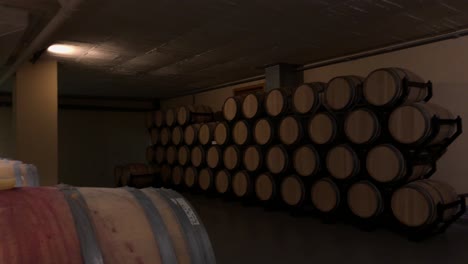 woman visiting a classic cellar-8