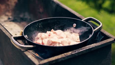 close-up slow motion pork meat is fried in a saucepan on charcoal on the grill