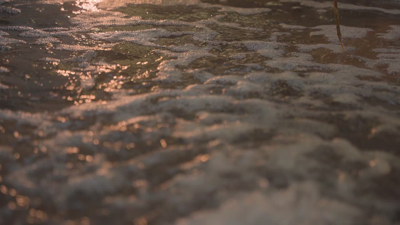Una spiaggia bagnata e fangosa con schiuma e bolle sulla sabbia. L'acqua è torbida e la spiaggia appare in stato di degrado. La scena è alquanto cupa e desolata.