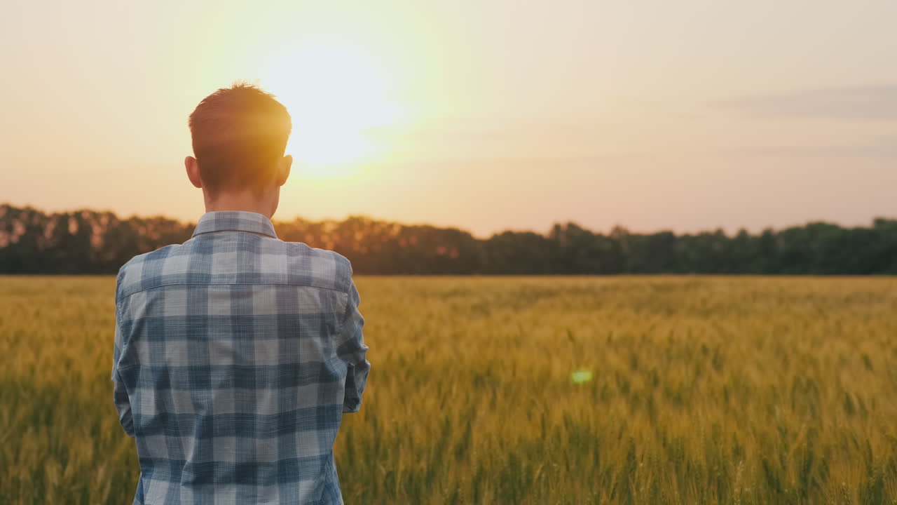 확신에 찬 농부가 석양의 밀밭을 존경한다