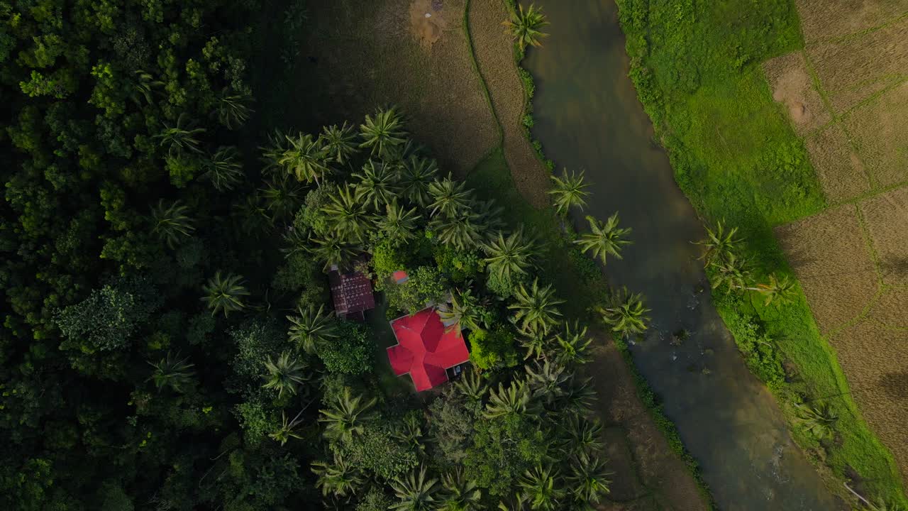 Una casa con il tetto rosso tra palme verdi sull'isola di Bohol, Filippine, vista aerea
