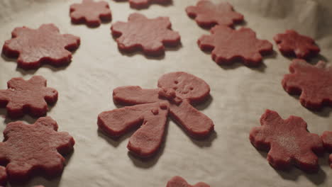 colocando suavemente galletas navideñas sin cocer dentro de una bandeja, receta del proceso de cocción