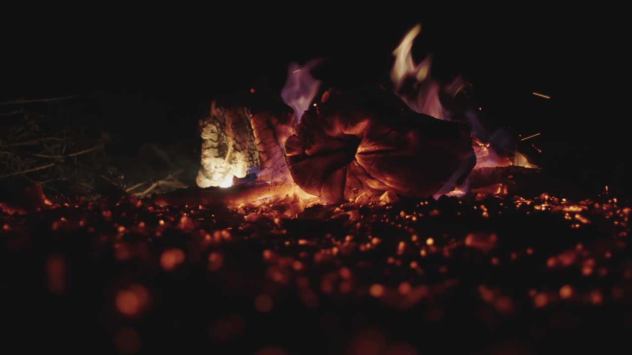 연료 나무를 태우는 것