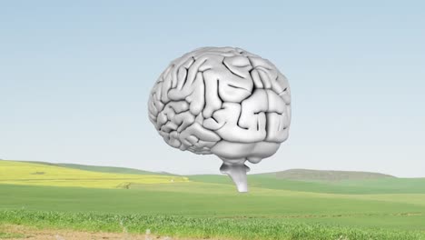 icono del cerebro humano girando contra el paisaje con hierba y cielo azul