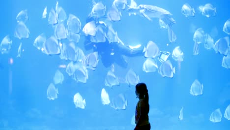 little girl observes, admires, explores the beauty of the sea and its inhabitants, a flock of large flat fish