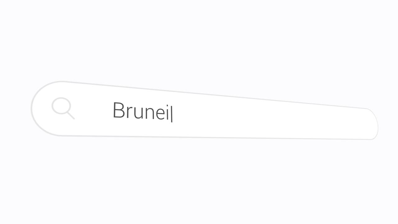 Brunei In Search Box - Computer Browsing