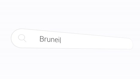 brunei in search box - computer browsing