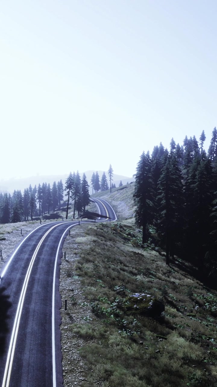 Gündüz vakti bir dağ sırtında ağaçların arasından kıvrılan manzaralı yol.