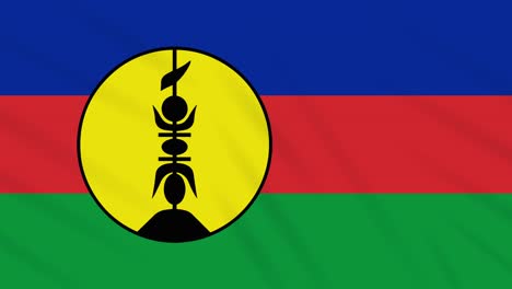 new caledonia flag waving cloth background, loop