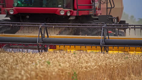 harvester working in the field. a large harvester cuts off the finished wheat