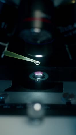 preparación del microscopio