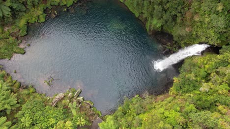 Cataratas-De-Omanawa-Y-Piscina-Natural-Con-Un-Entorno-Exuberante-En-Omanawa,-Nueva-Zelanda