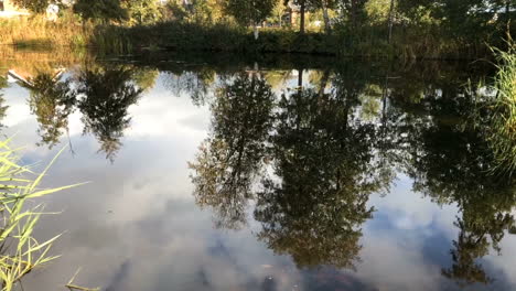 Reflection of autumn trees and blue sky in a pond