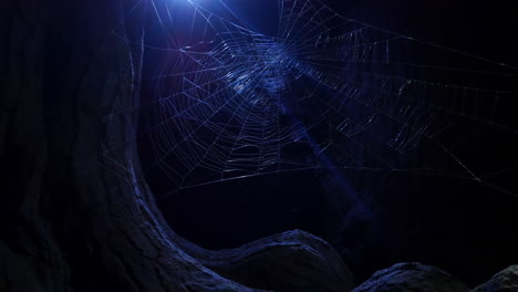 a spider's web in the woods at midnight