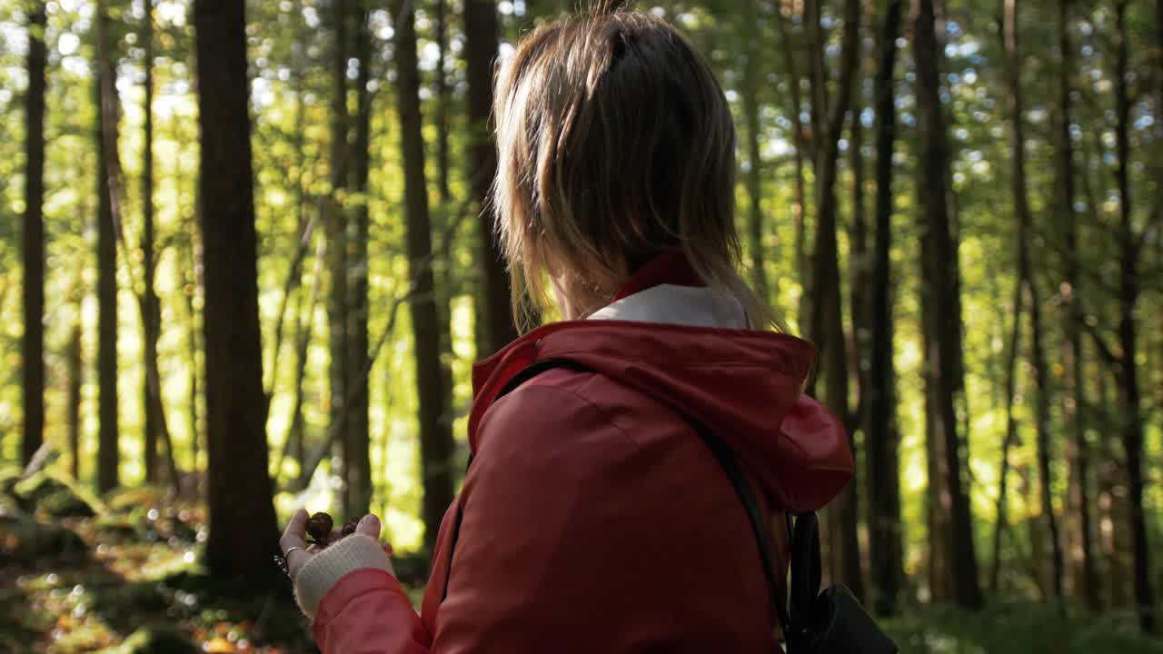 Woman holding pine cone in forest, sustainability concept