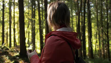 Woman-holding-pine-cone-in-forest,-sustainability-concept