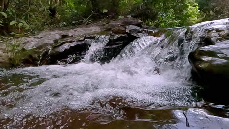 slow motion footage of a brazilian stream cascading over rocks in lush forest. crystal clear water highlights the beauty and calm of untouched tropical nature.