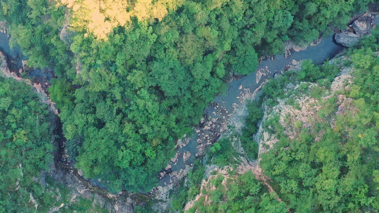 bird's eye view of meandering river and lush forest. Zoom in
