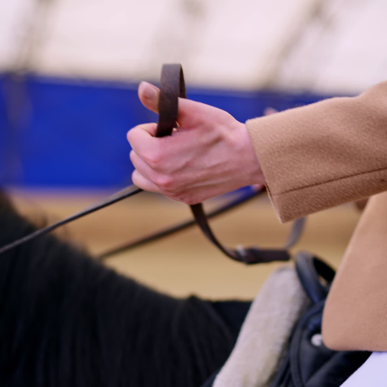 Horse riding close up view. Lifestyle ranch jockey training