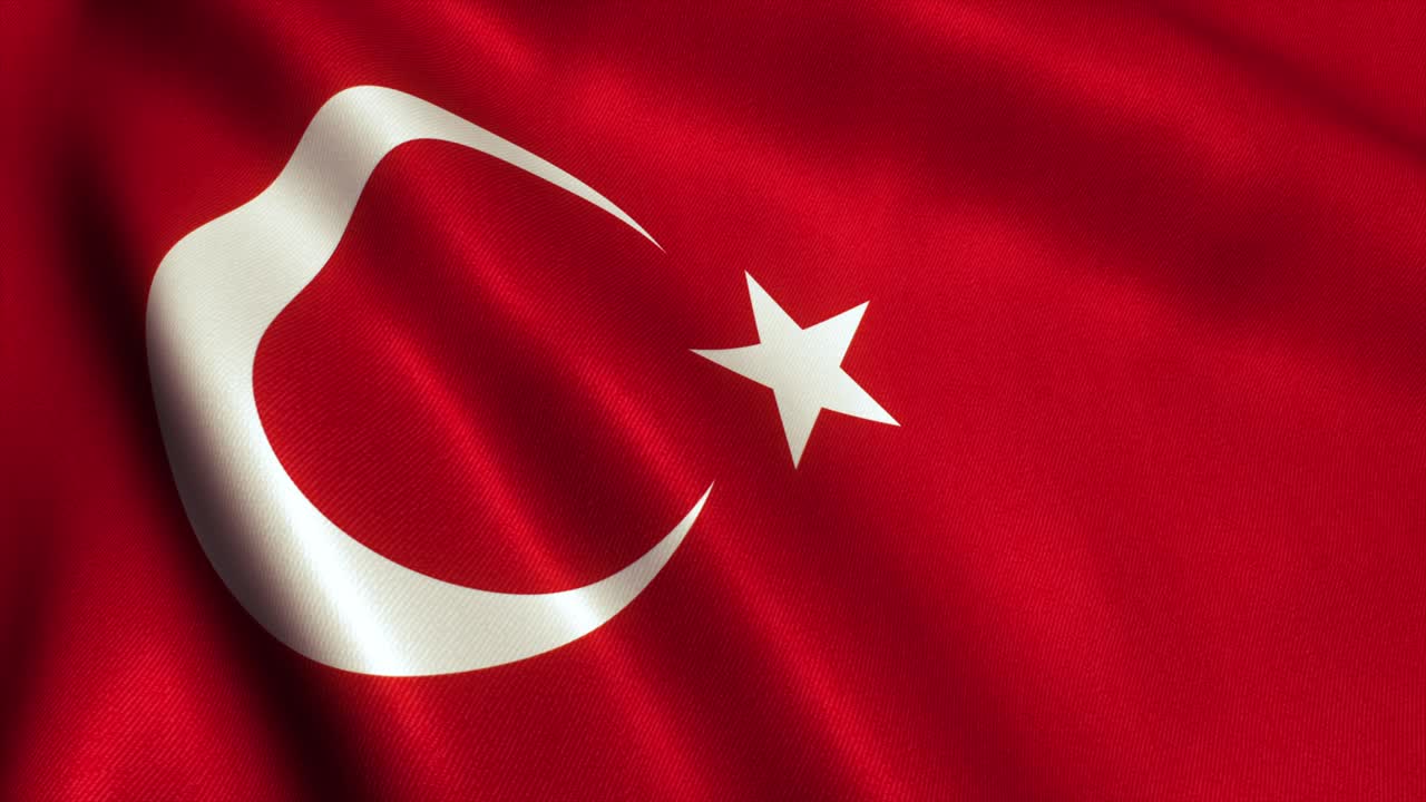 칠면조 발 비디오 루프 - 4k