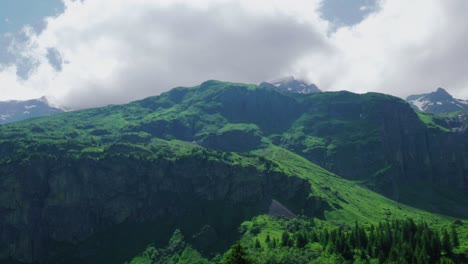 Stauber-Uri-Alfombra-Verde-Foilage-Toma-Panorámica-Suiza