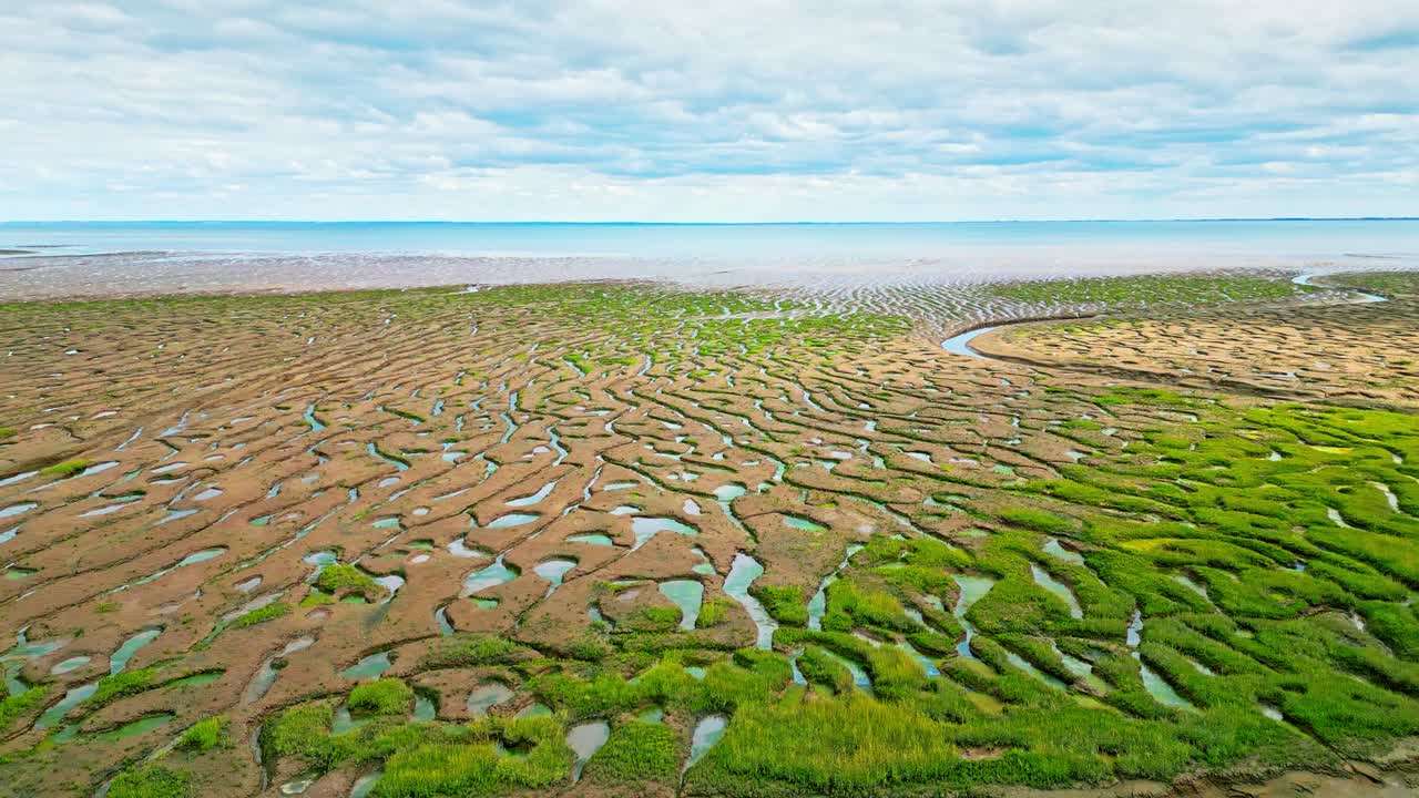소금 습지 에서 균열 된 진 평면