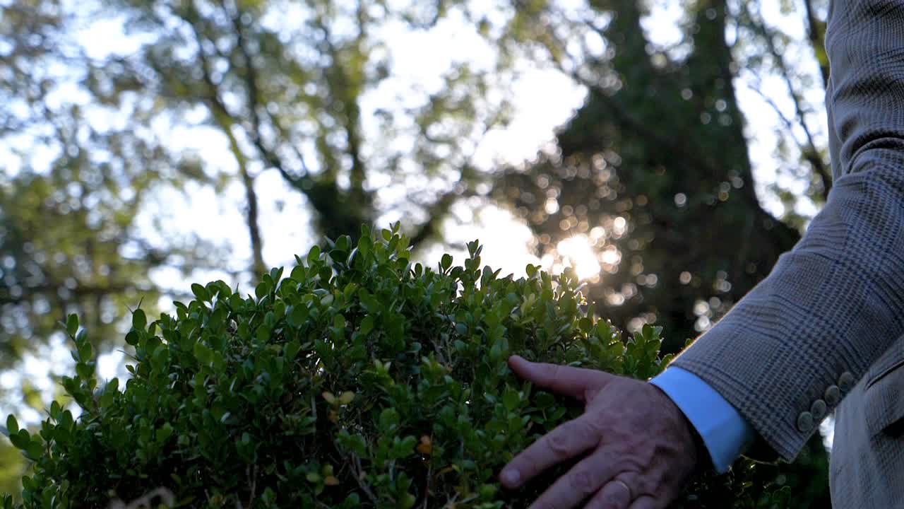 Ripresa al rallentatore di un uomo in un elegante abito che fa scorrere la mano lungo un cespuglio circolare