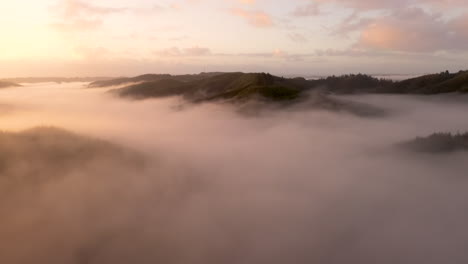 Niebla-De-Troncos-Sobre-El-Bosque-De-Oregon-Al-Amanecer