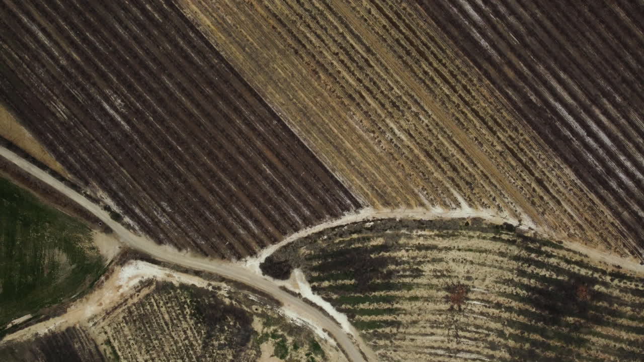 Aerial View of Farmland with Varied Crops