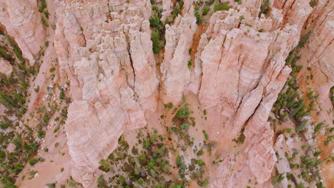Admirable scenery of outlandish rocks of Bryce canyon in Utah, USA. High mountains and land covered with pine trees. Top view.