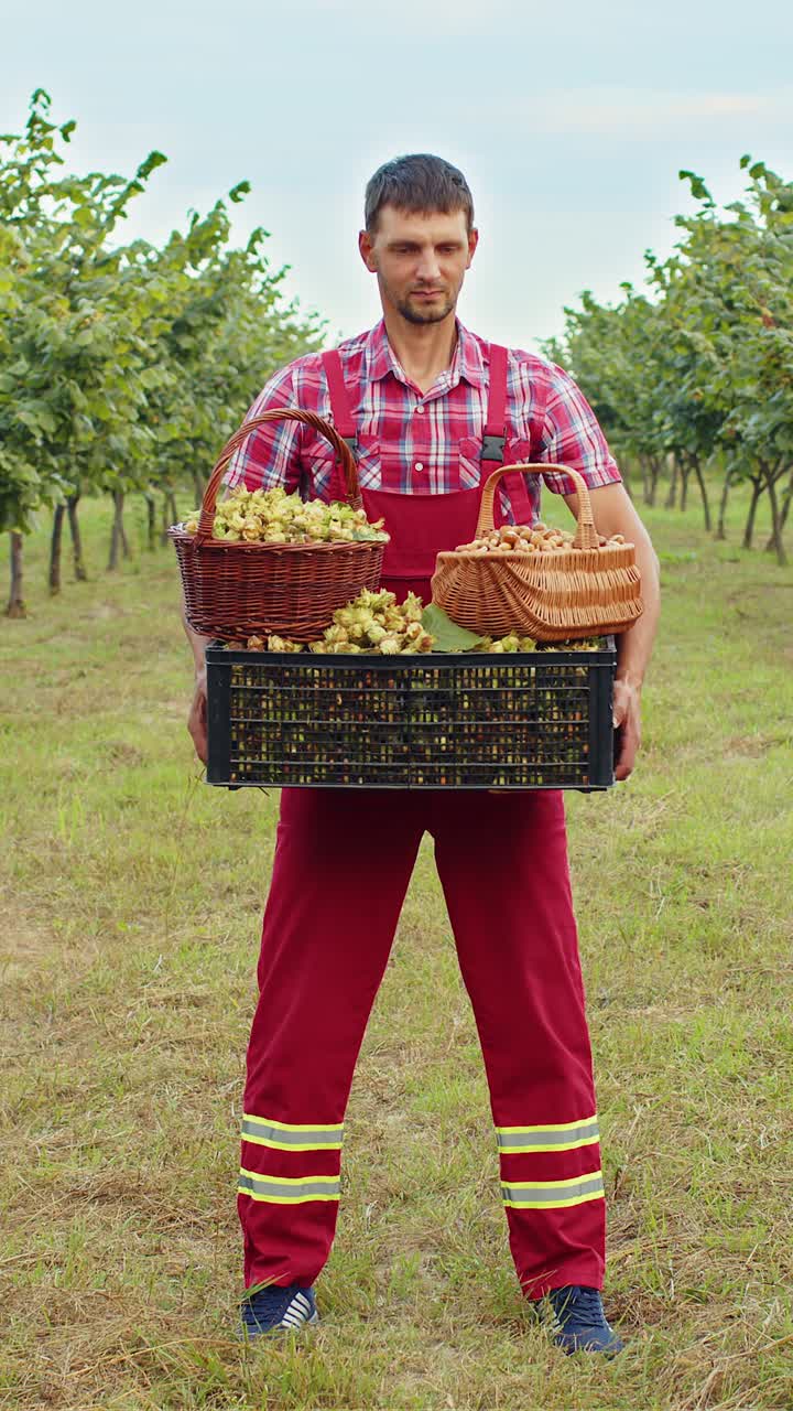 un agrónomo feliz muestra una buena cosecha de avellanas crudas sosteniendo una caja llena de nueces en las manos en el jardín