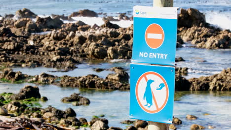 cape nature warning signs of no entry and feeding of penguins prohibited