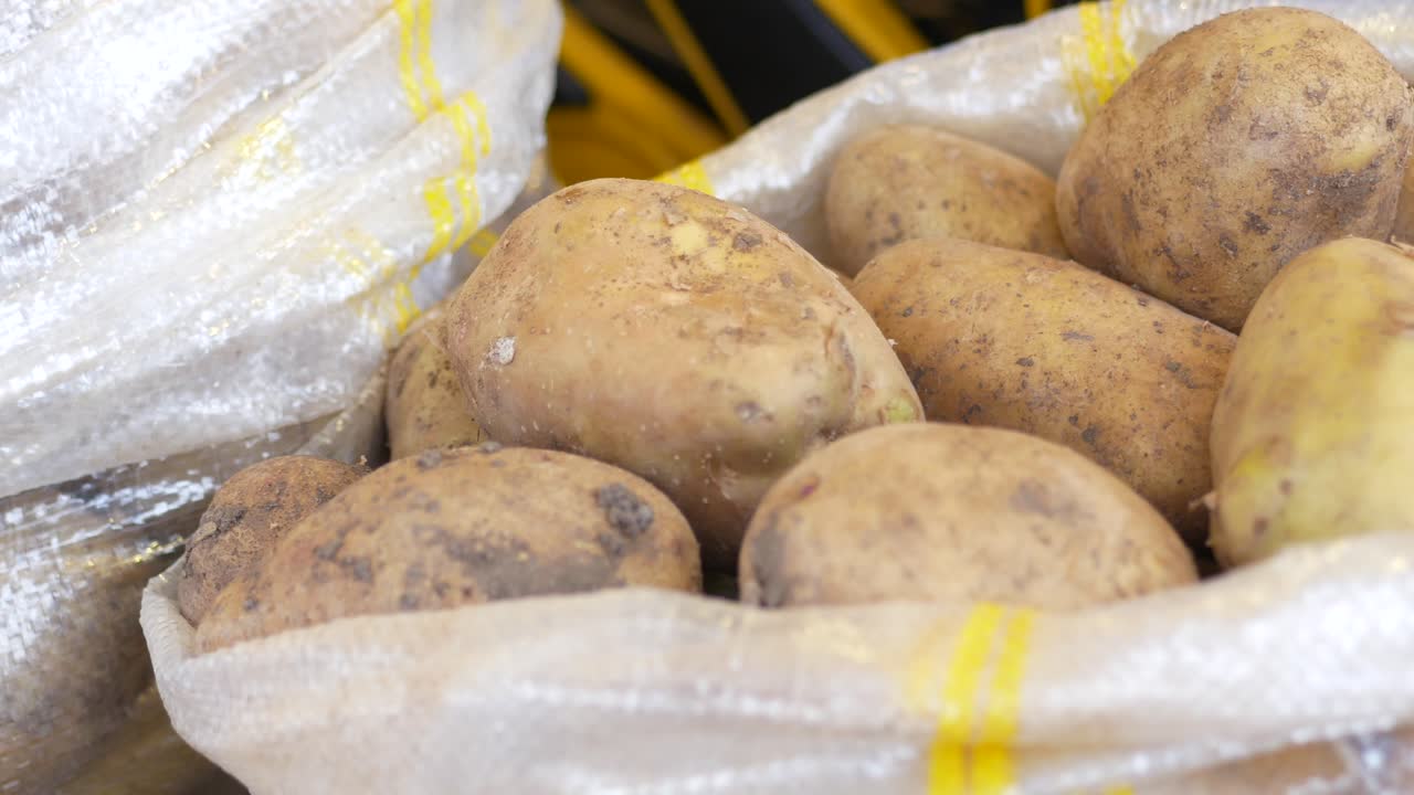 가방에 넣은 감자