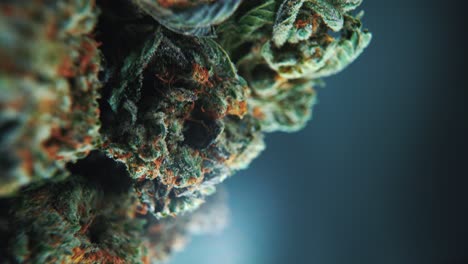 a vertical macro close-up cinematic shot of a cannabis plant, hybrid strains, indica and sativa ,marijuana flower, on a 360 rotating stand, slow motion, 4k