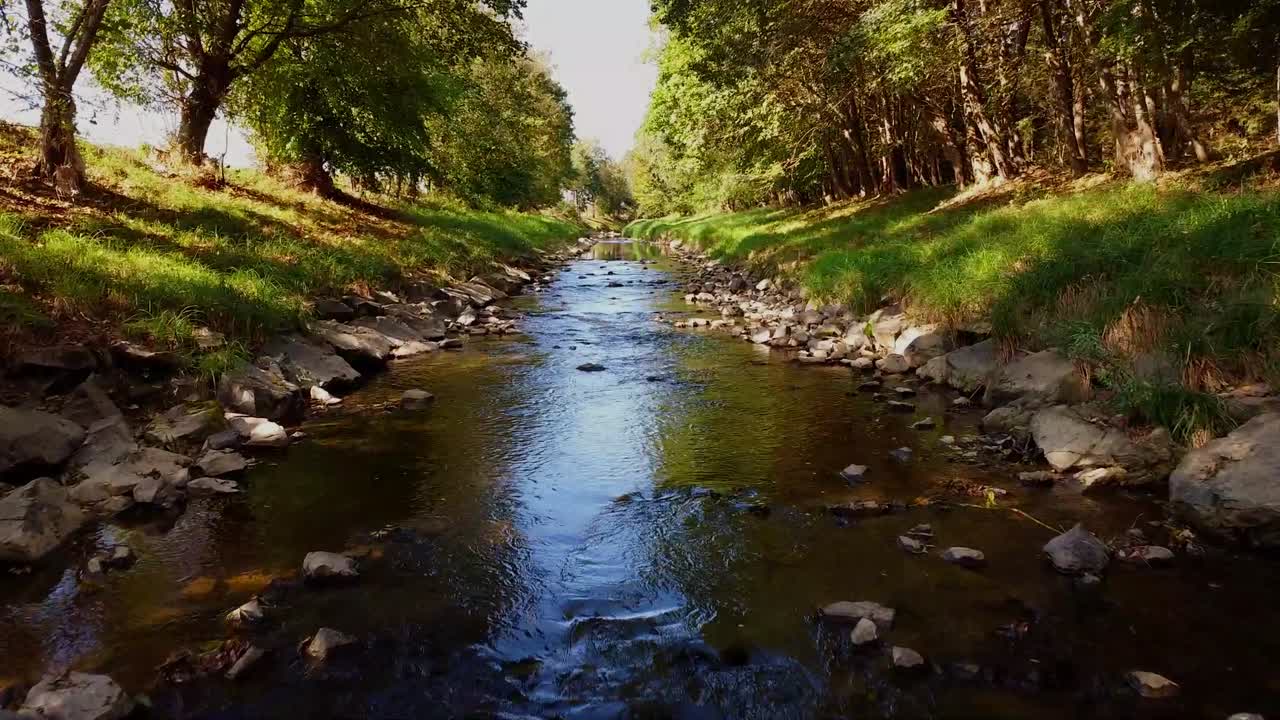 Fiume con sassi e alberi a lato, ripresa cinematografica con drone, Austria